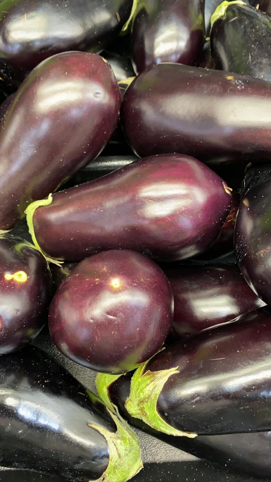American Eggplant - EACH - Pasha Market